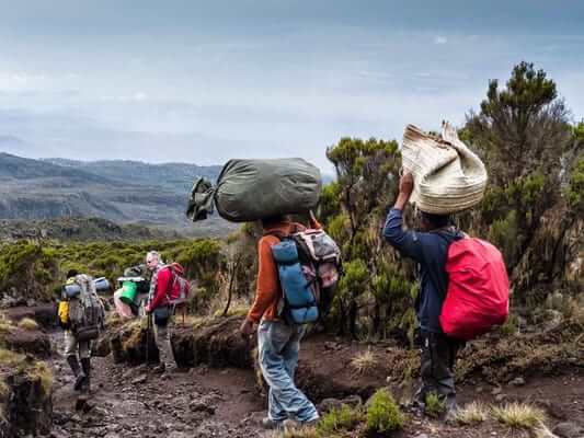 Mt. Kilimanjaro Climbing Marangu Route.