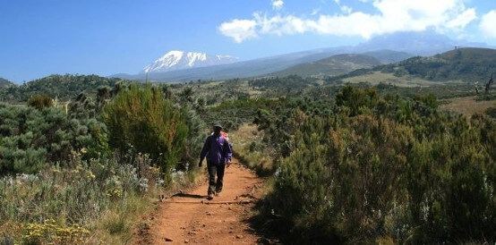 Mt. Kilimanjaro Climbing